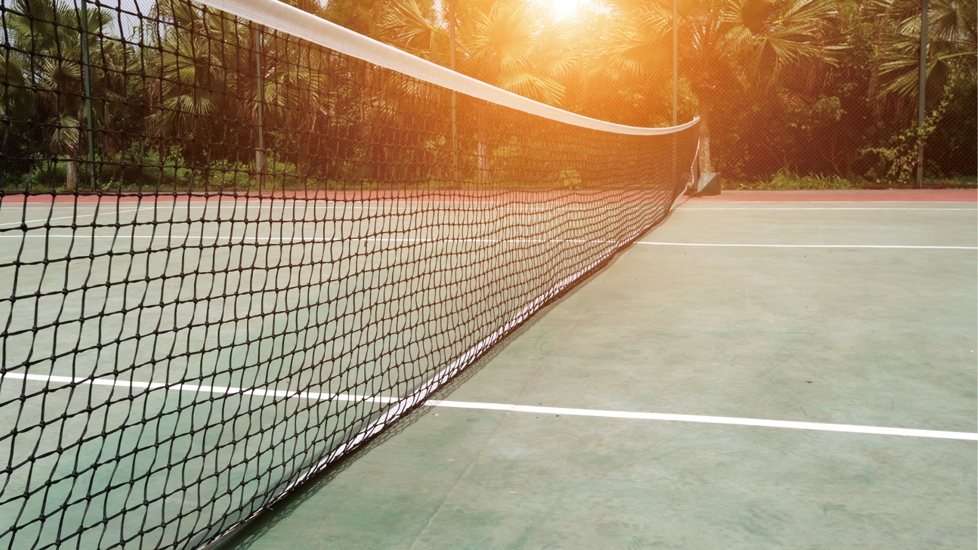Sunlit tennis court in South Africa during summer, surrounded by greenery and warm light