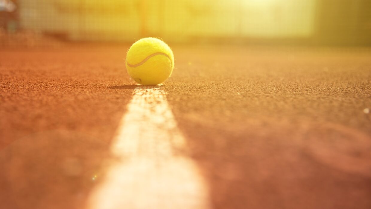 Tennis ball resting on a clay court line in warm South African light