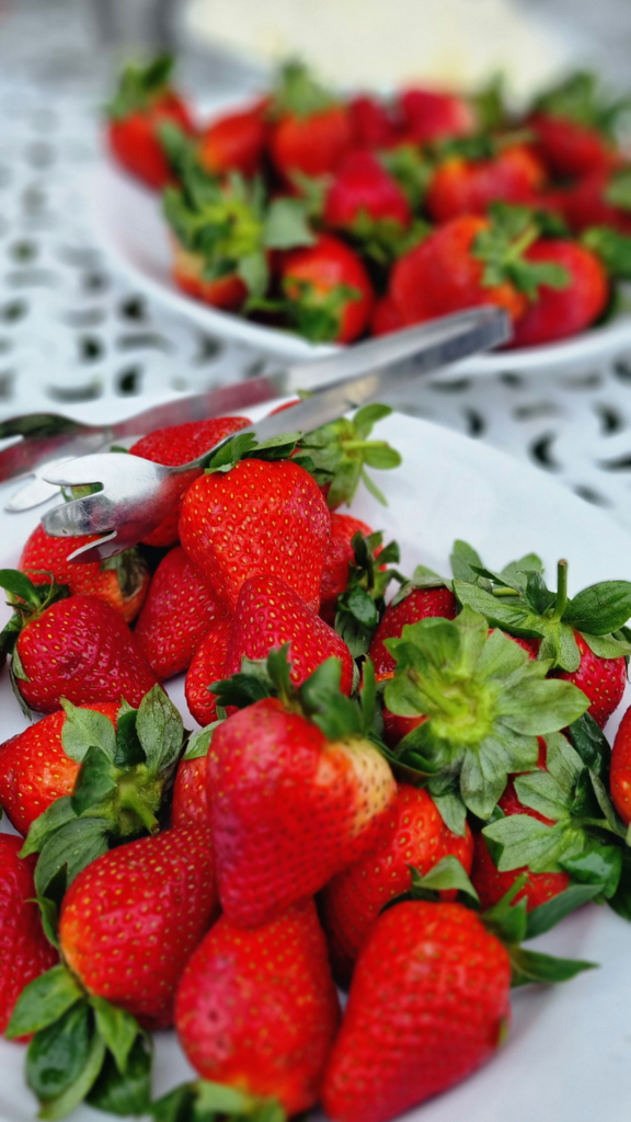 A close-up of fresh strawberries served courtside during Courts of the Forest at Portland Manor.